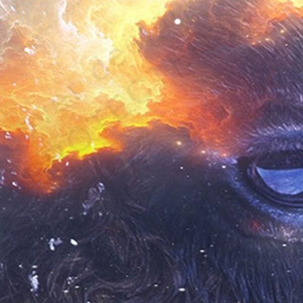 Spirit of White Buffalo