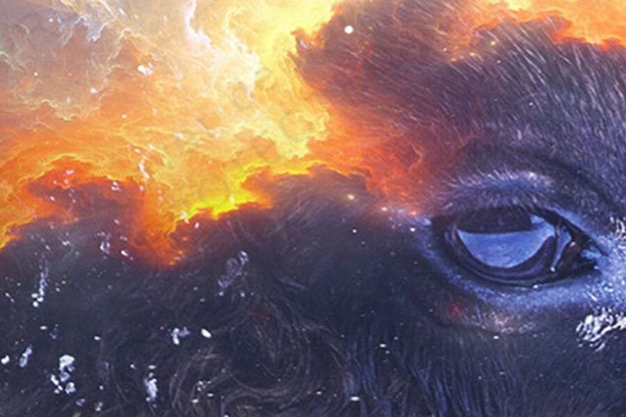 Spirit of White Buffalo