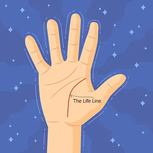 The Life Line