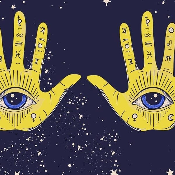 The Palmistry Guide