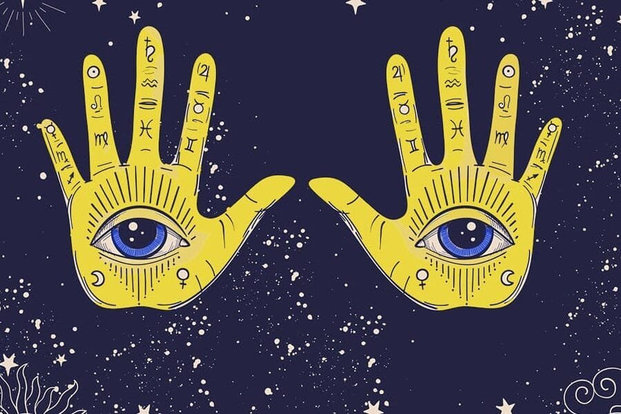 The Palmistry Guide The Palmistry Guide