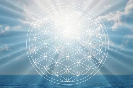 The Meaning of Life The Meaning of Life