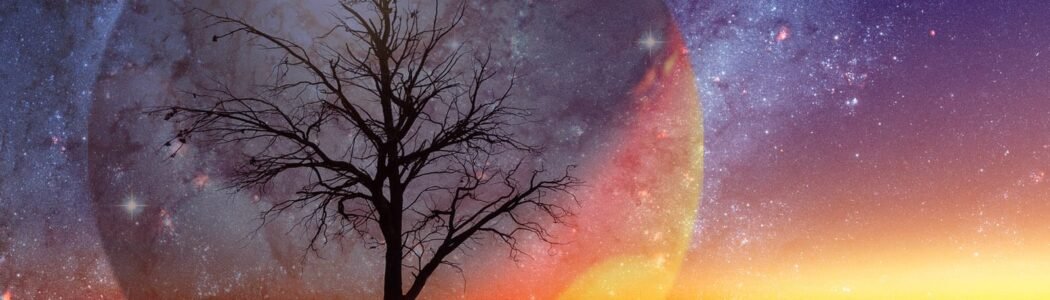 An Extraterrestrial World