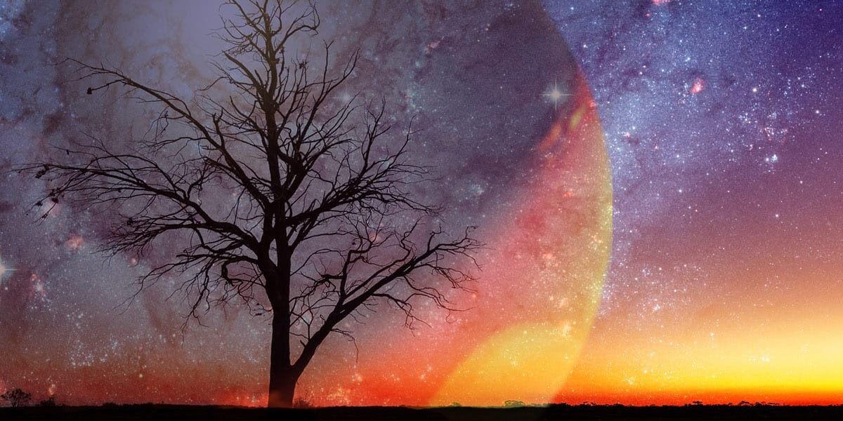 An Extraterrestrial World