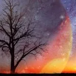 An Alien World