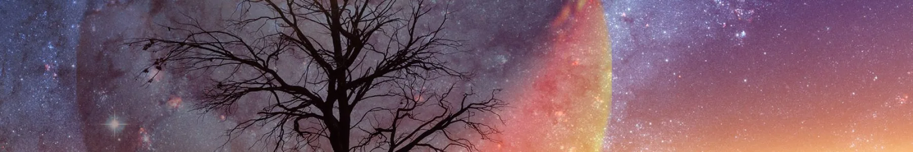 An Extraterrestrial World