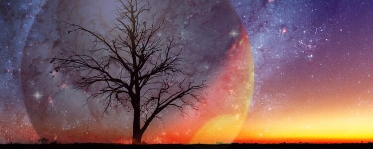 An Extraterrestrial World