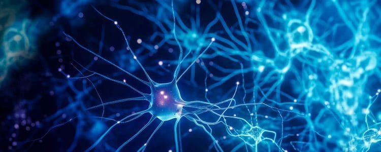 Your Constant Connection to Universal Consciousness