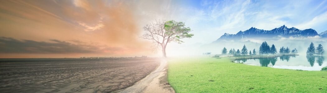 Balancing The Forces Of Creation and Destruction   