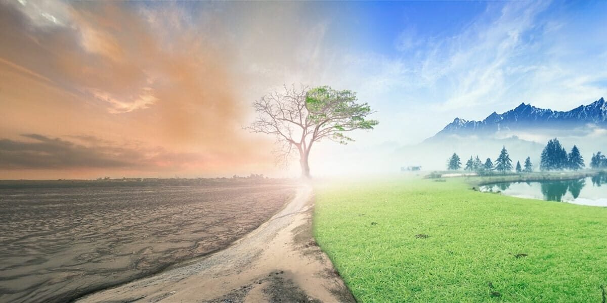 Balancing The Forces Of Creation and Destruction   