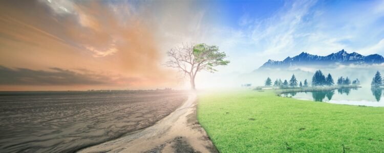 Balancing The Forces Of Creation and Destruction   