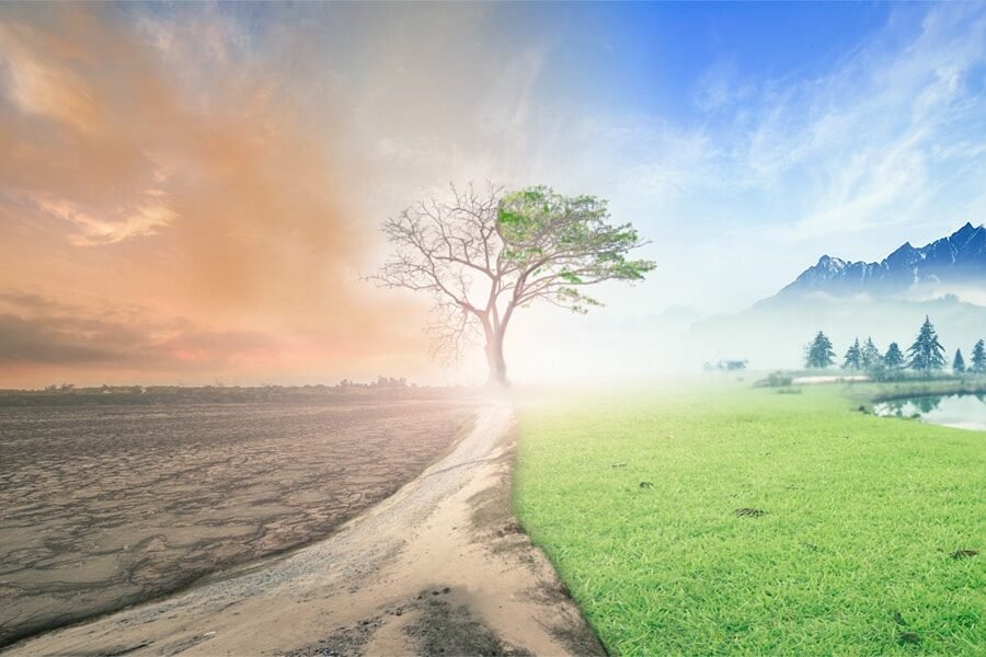 Balancing The Forces Of Creation and Destruction   