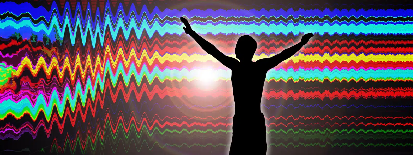 The Vibrational State