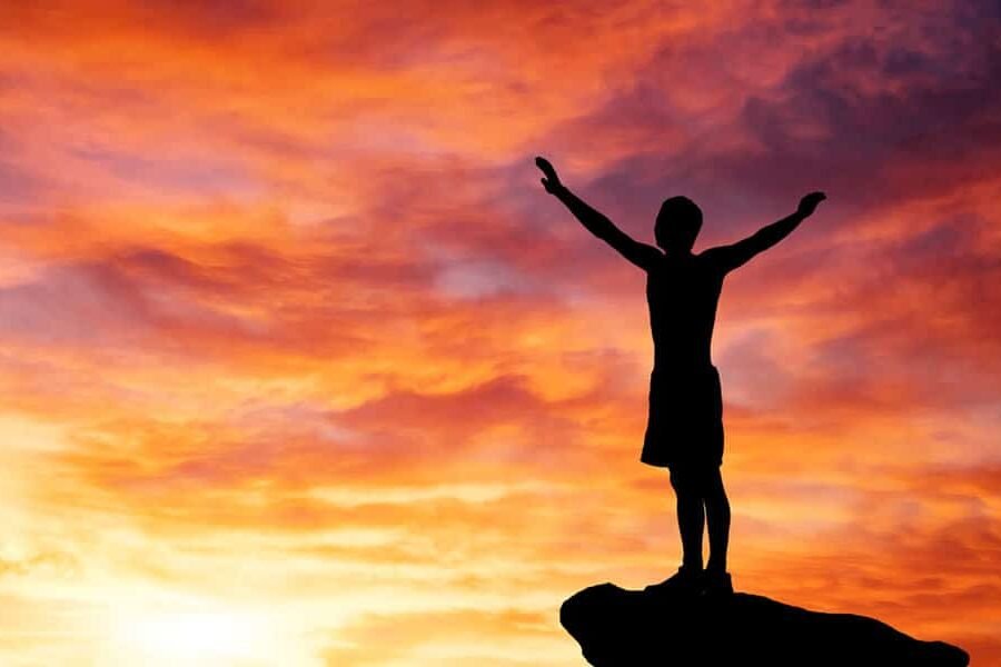 Joy and Serenity Joy and Serenity