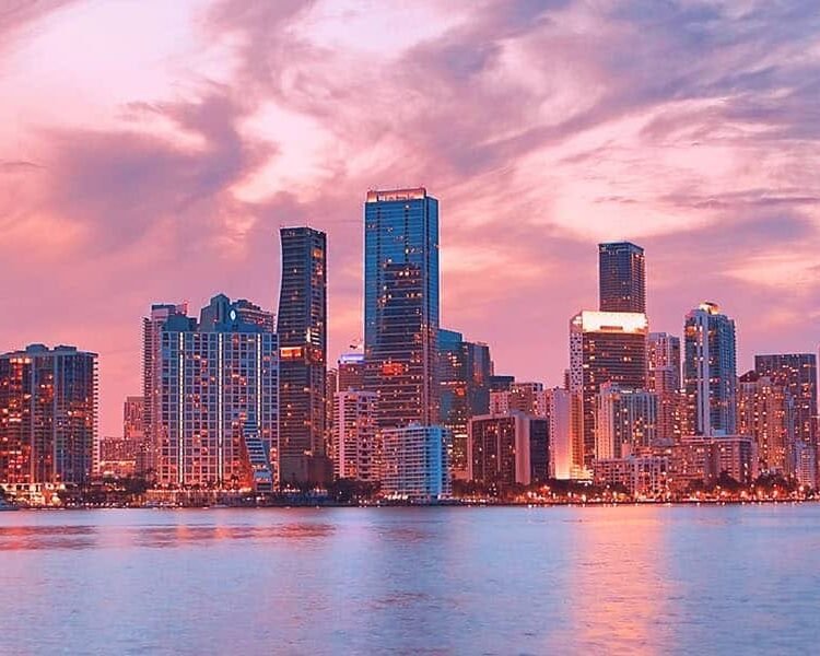 The City Between Lives