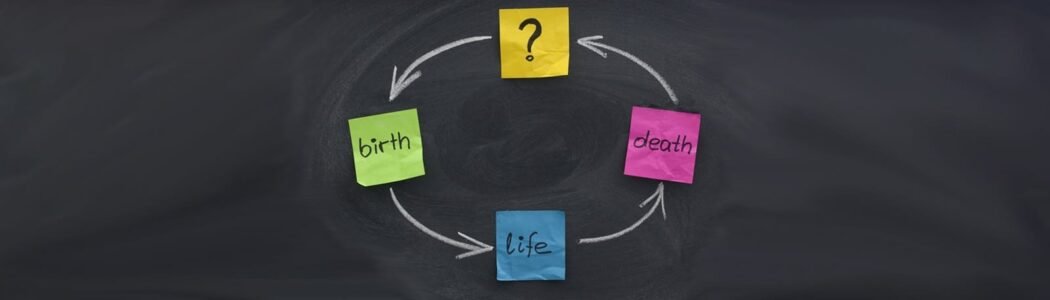 The Choice To Be Born