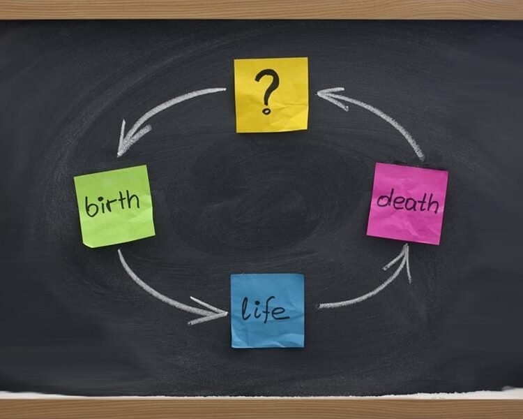 The Choice To Be Born