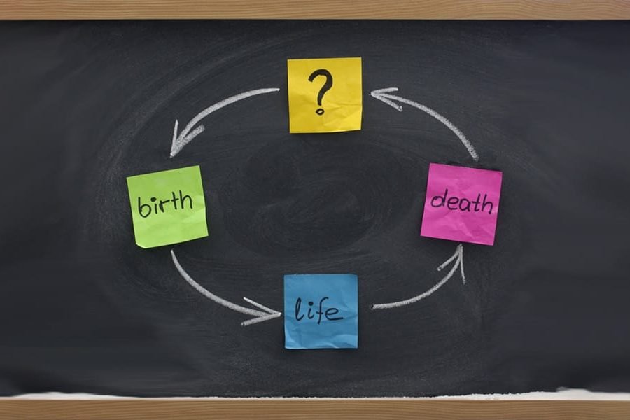 The Choice To Be Born