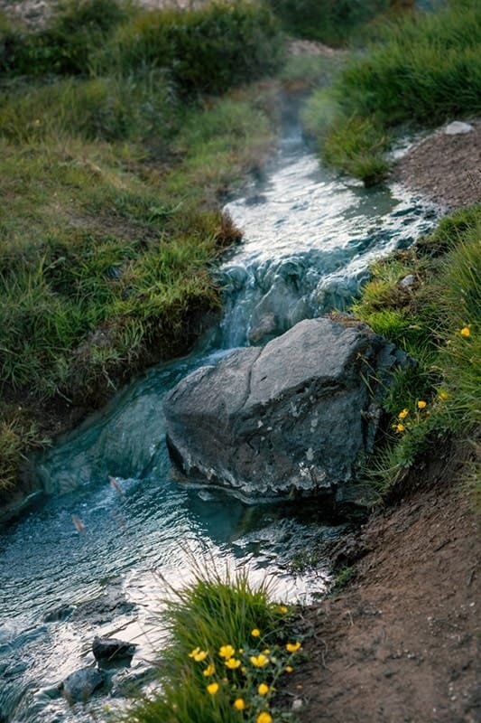 Simple Brook Meditation by the Brook » Reality Unmasked