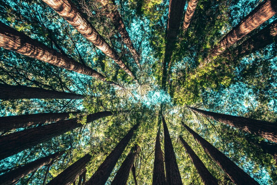 More On Channeled Wisdom More On Channeled Wisdom