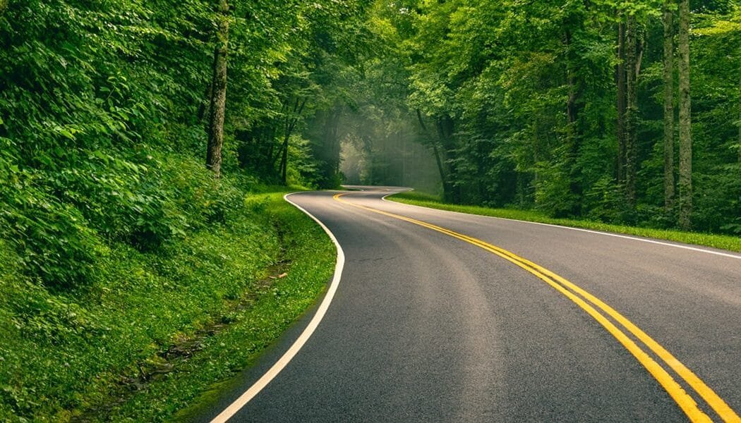 The Joy of Moving Out of the City and Back to the Country: Why I’m Doing It