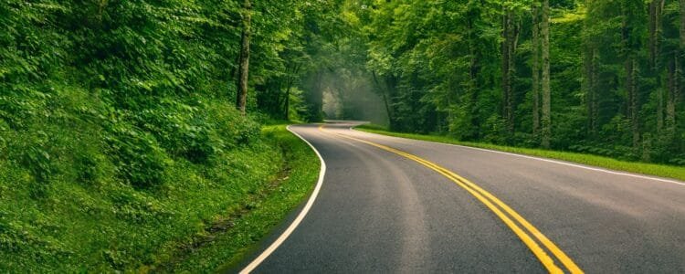 The Joy of Moving Out of the City and Back to the Country: Why I’m Doing It