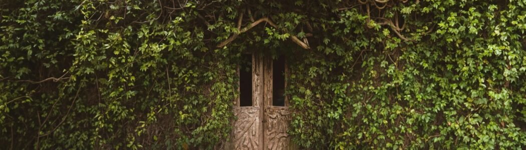 The Ancient House Of My Myriad Incarnations