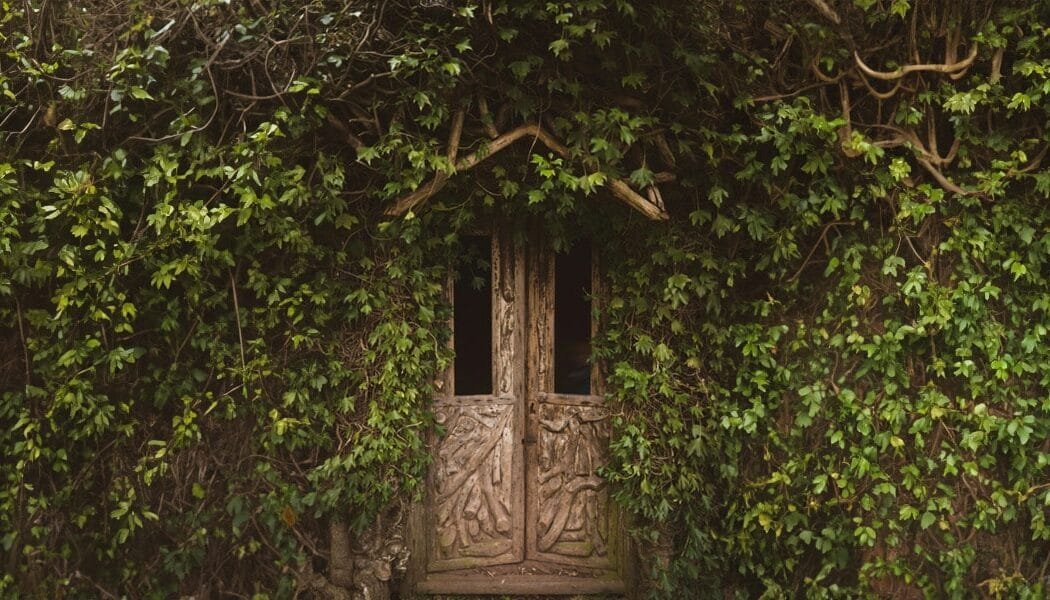 The Ancient House Of My Myriad Incarnations