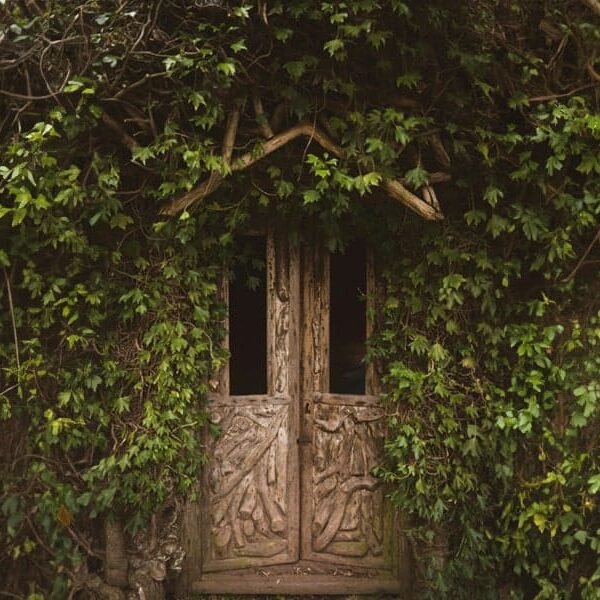 The Ancient House Of My Myriad Incarnations