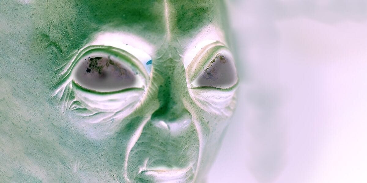 Aliens in the Backyard