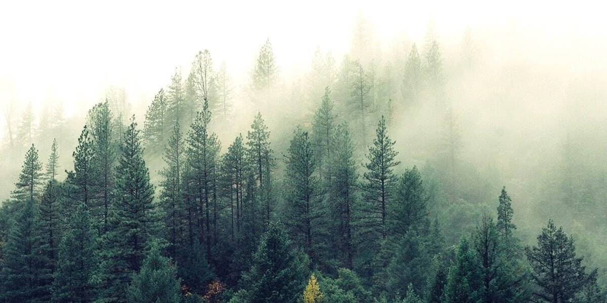  Using Hypnagogia To Project & Rescue