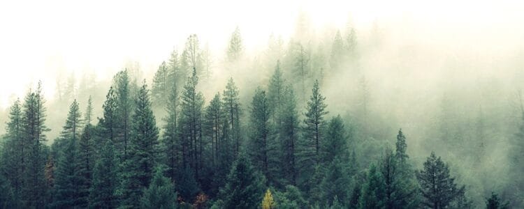  Using Hypnagogia To Project & Rescue