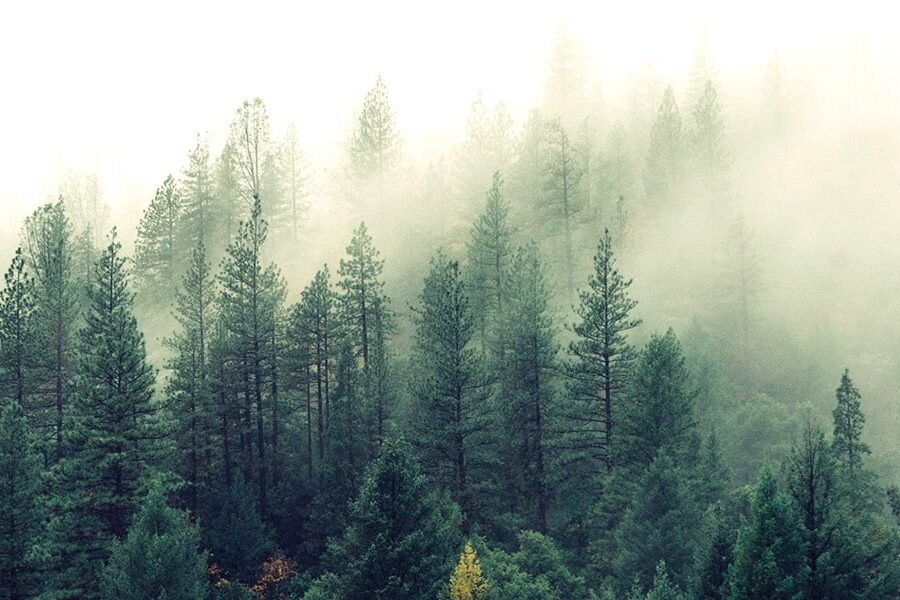  Using Hypnagogia To Project & Rescue