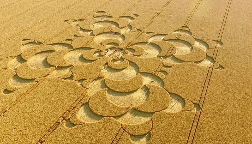 The Truth About Crop Circles • Who Makes Them?