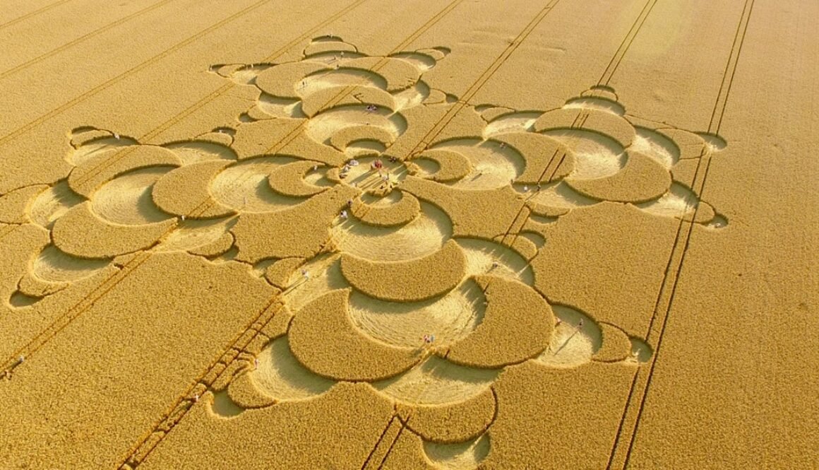 crop circle