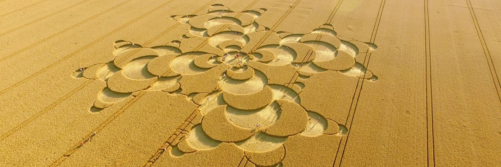 The Truth About Crop Circles • Who Makes Them?