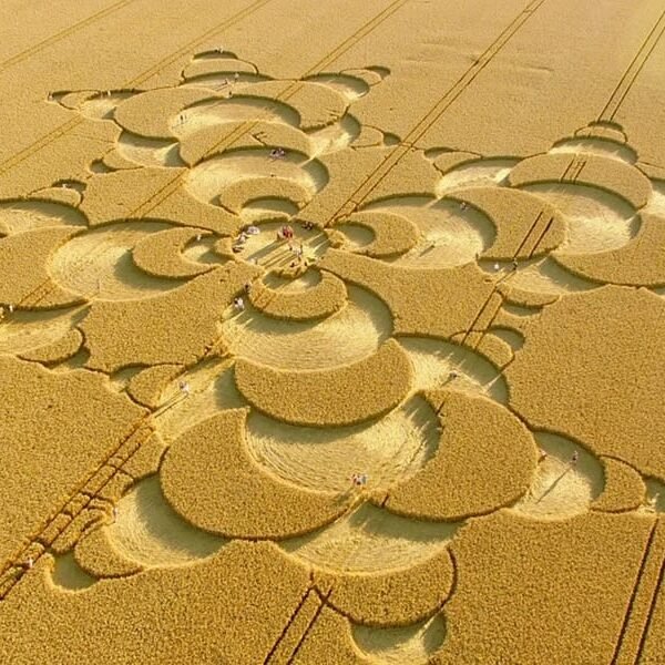 The Truth About Crop Circles • Who Makes Them?