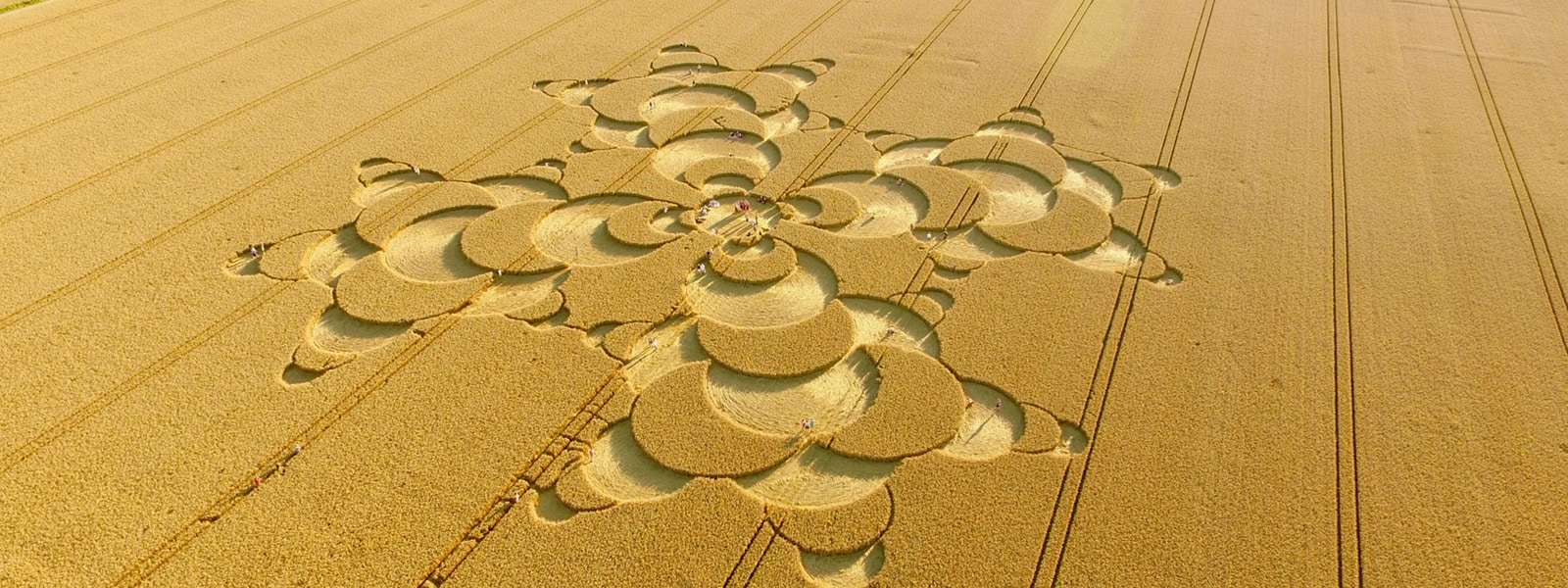 crop circle