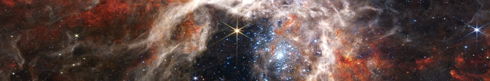 Do We Create the Universe or Does the Universe Create Us?