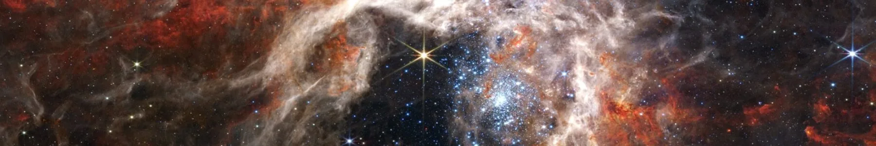 Do We Create the Universe or Does the Universe Create Us?
