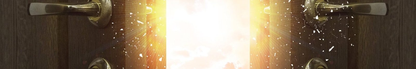 The All New Store to Explore