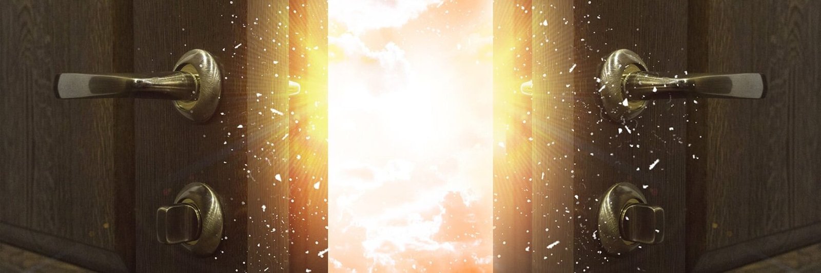 The All New Store to Explore