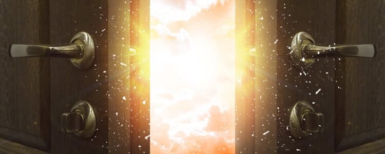 The All New Store to Explore