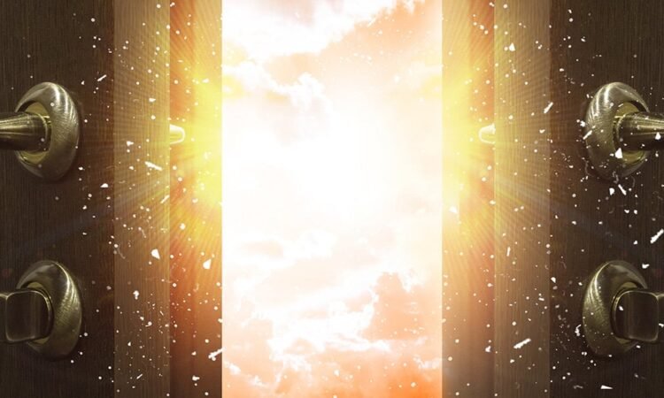 The All New Store to Explore