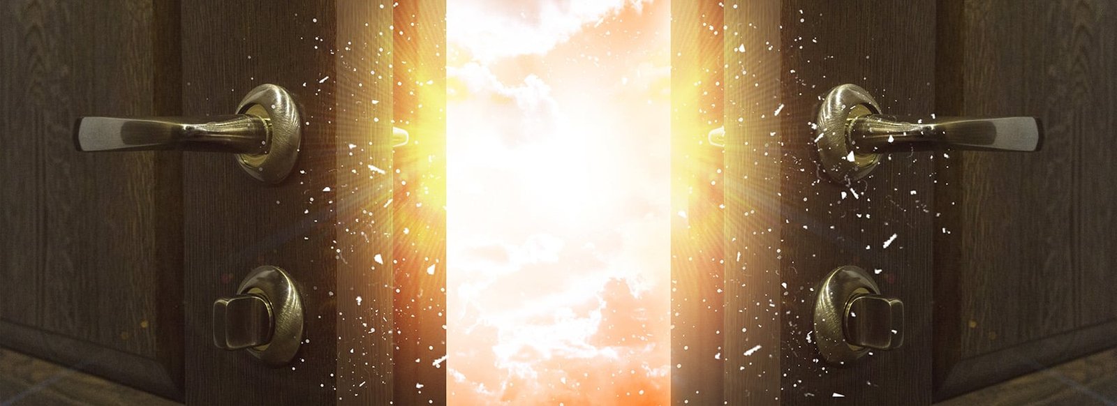 The Store to Explore