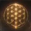 Messages From The Council of Elders