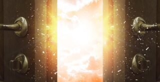 The Store to Explore